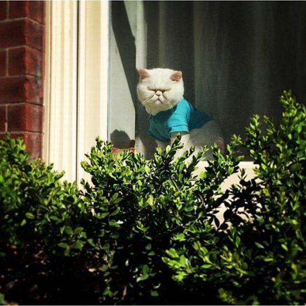 morning picdump 56 pics 12.html - 56 HD Photos | Premium Gallery 2014