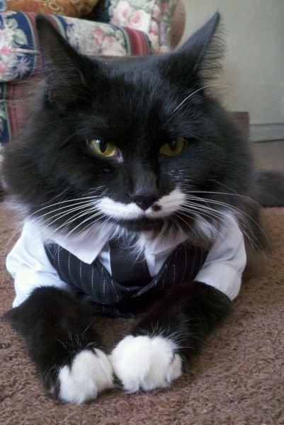 morning picdump 58 pics 2.html - 58 HD Photos | Premium Gallery 2014