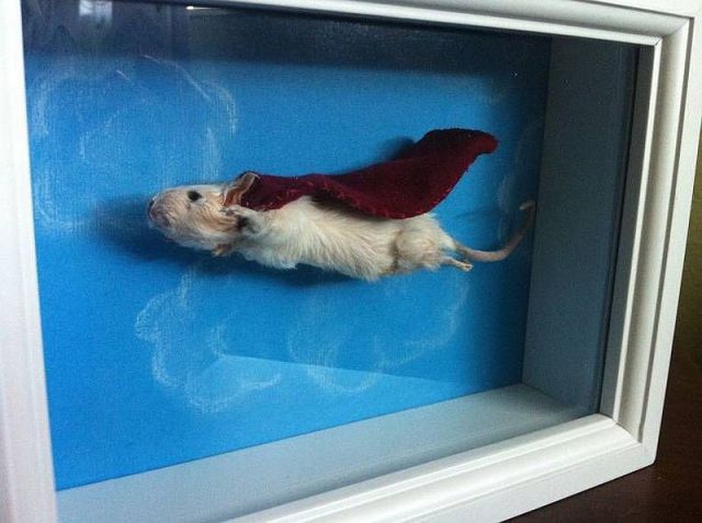 morning picdump 58 pics 2.html - 58 HD Photos | Premium Gallery 2014