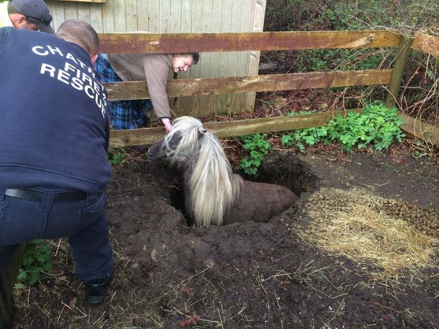 morning picdump 58 pics 2.html - 58 HD Photos | Premium Gallery 2014