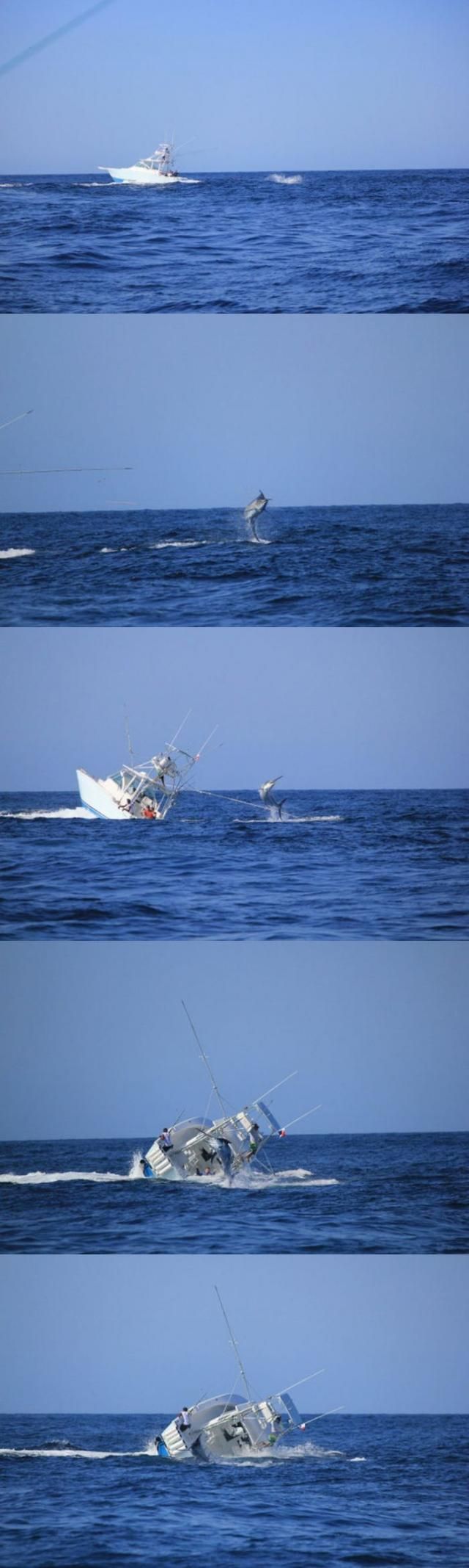 morning picdump 58 pics 2.html - 58 HD Photos | Premium Gallery 2014