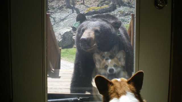 morning picdump 59 pics 13.html - 59 HD Photos | Premium Gallery 2014