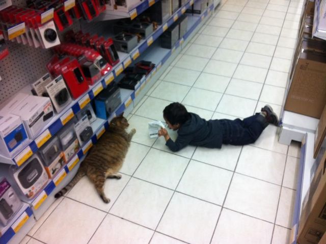 morning picdump 59 pics 13.html - 59 HD Photos | Premium Gallery 2014