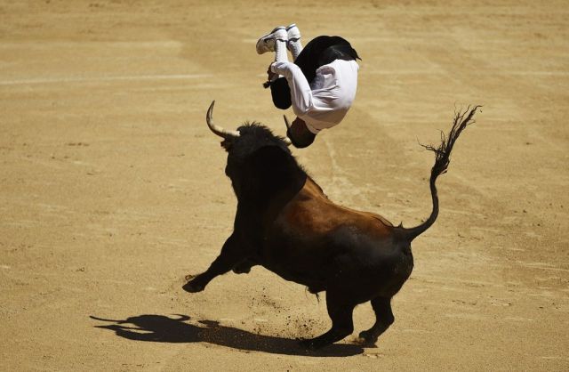 morning picdump 59 pics 13.html - 59 HD Photos | Premium Gallery 2014