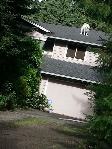 morning picdump 59 pics 13.html - 59 HD Photos | Premium Gallery 2014