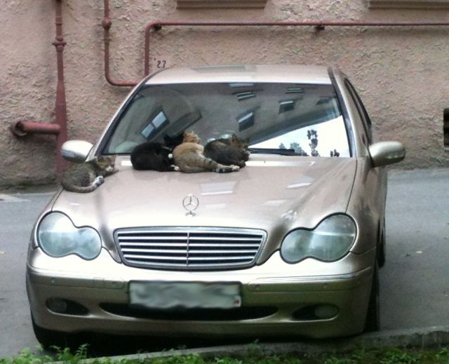 morning picdump 59 pics 13.html - 59 HD Photos | Premium Gallery 2014