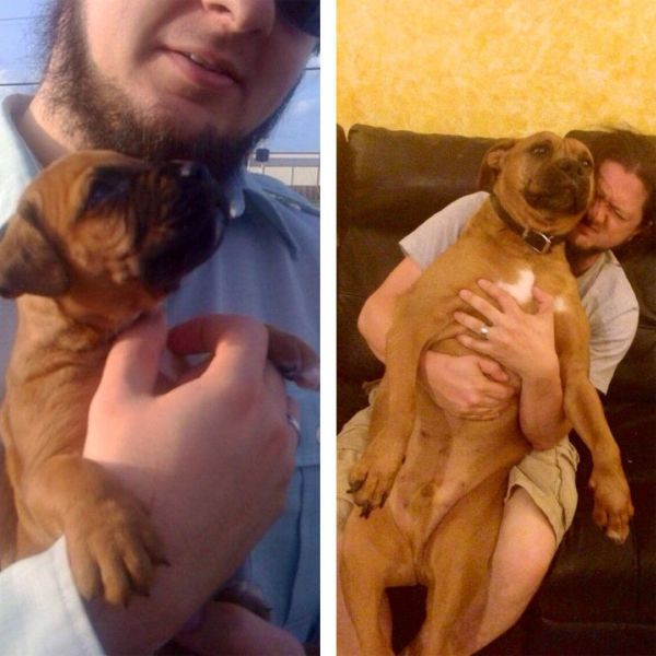 morning picdump 59 pics 13.html - 59 HD Photos | Premium Gallery 2014