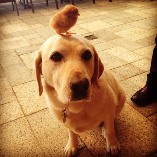 Morning Picdump
