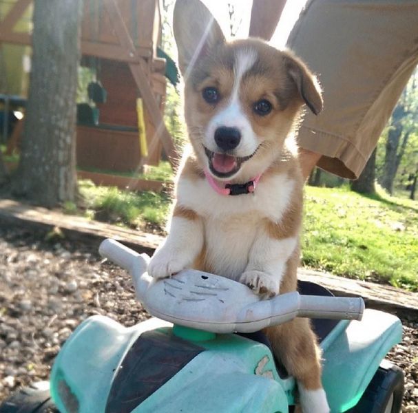 morning picdump 63 pics 24.html - 63 HD Photos | Premium Gallery 2014