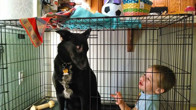 morning picdump 57 pics 16.html - 57 HD Photos | Premium Gallery 2014