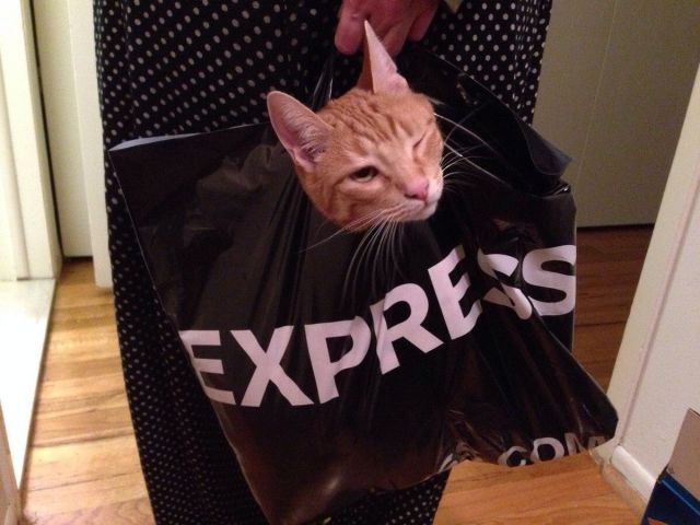 morning picdump 57 pics 16.html - 57 HD Photos | Premium Gallery 2014