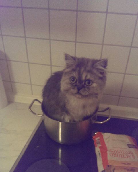 morning picdump 57 pics 16.html - 57 HD Photos | Premium Gallery 2014