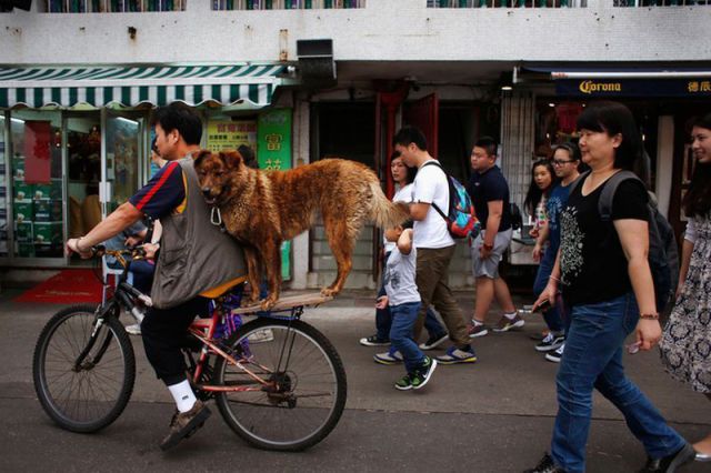 morning picdump 57 pics 16.html - 57 HD Photos | Premium Gallery 2014