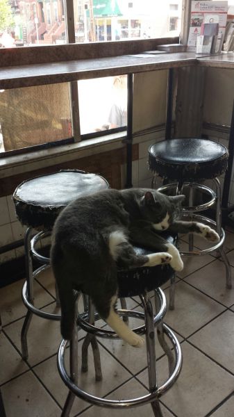 Morning Picdump