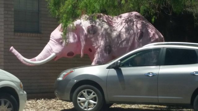 Morning Picdump