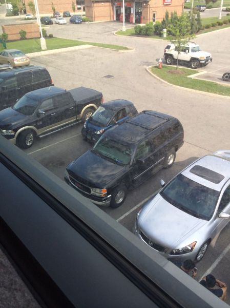 Morning Picdump