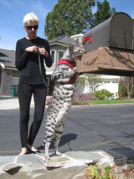 Morning Picdump