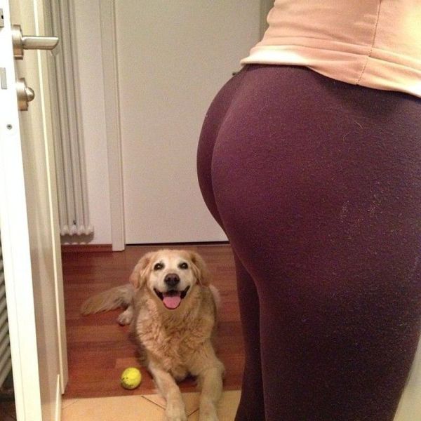 Morning Picdump