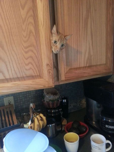 Morning Picdump