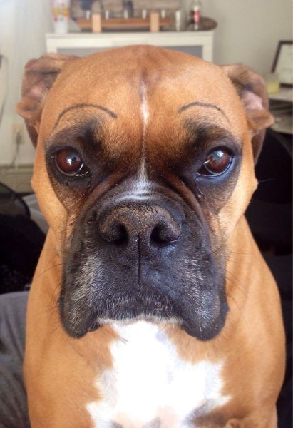 morning picdump 54 pics 16.html - 54 HD Photos | Premium Gallery 2014