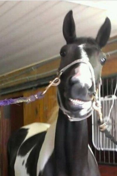 morning picdump 54 pics 16.html - 54 HD Photos | Premium Gallery 2014