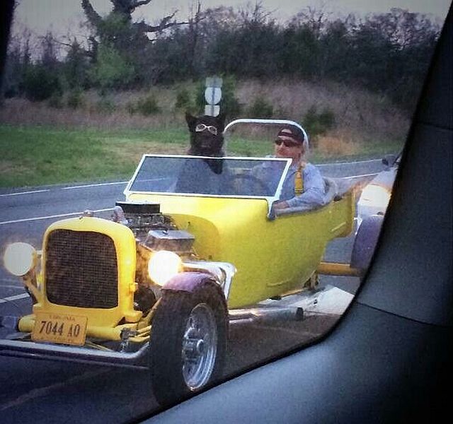 Morning Picdump