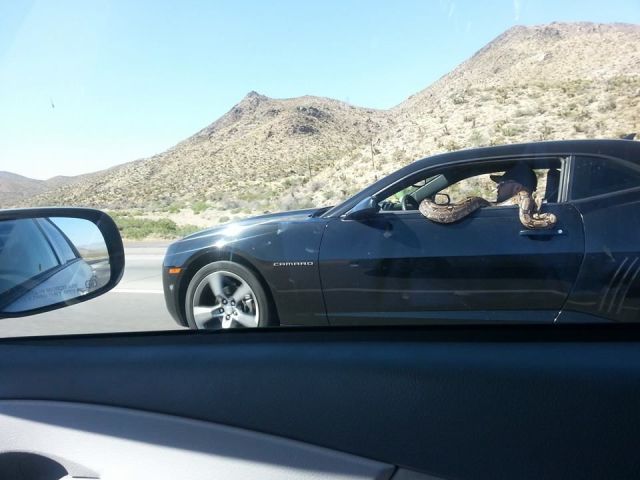 Morning Picdump