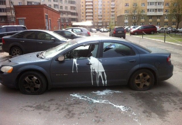 Morning Picdump