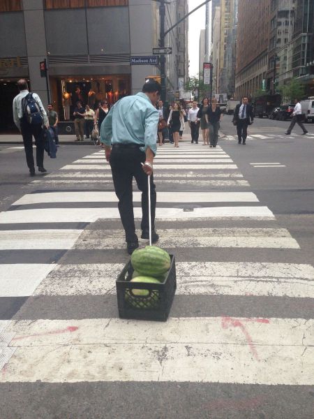 morning picdump 59 pics 7.html - 59 HD Photos | Premium Gallery 2014