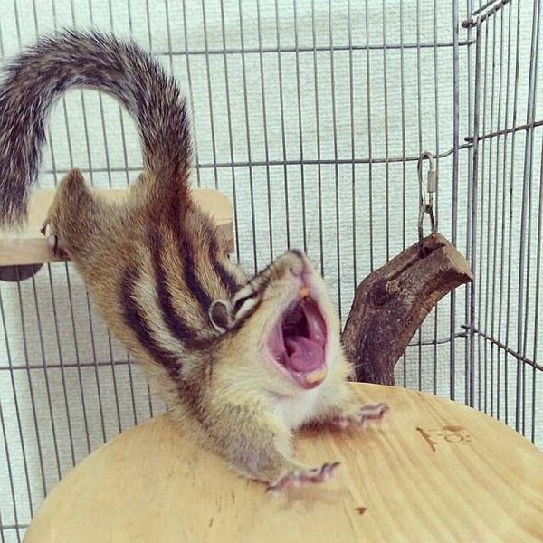 morning picdump 59 pics 7.html - 59 HD Photos | Premium Gallery 2014