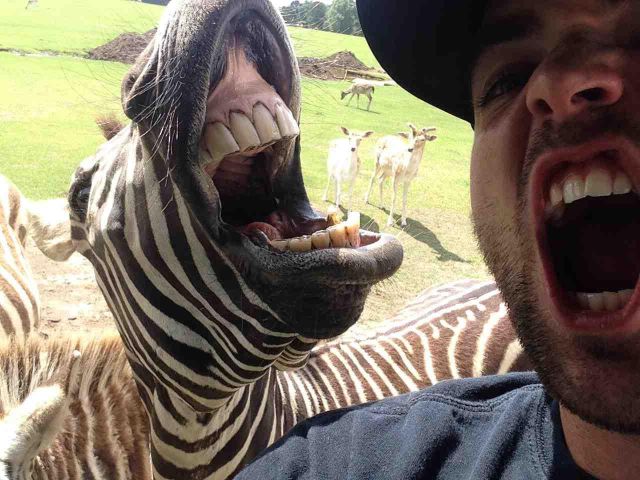 morning picdump 59 pics 7.html - 59 HD Photos | Premium Gallery 2014