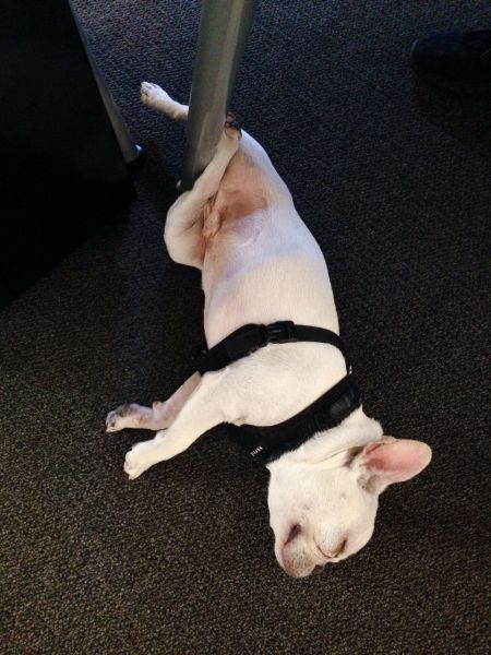 morning picdump 59 pics 7.html - 59 HD Photos | Premium Gallery 2014