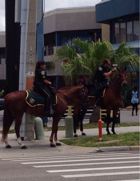 morning picdump 59 pics 7.html - 59 HD Photos | Premium Gallery 2014