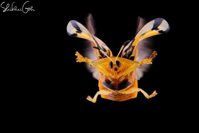 morning picdump 59 pics 1.html - 59 HD Photos | Premium Gallery 2014