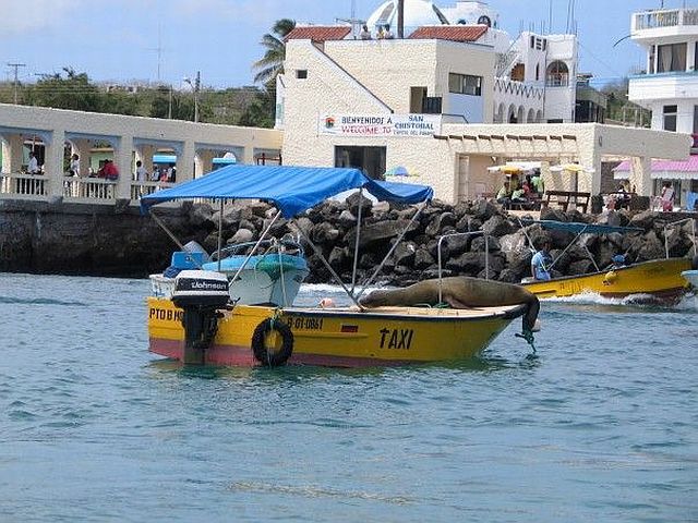 morning picdump 59 pics 1.html - 59 HD Photos | Premium Gallery 2014