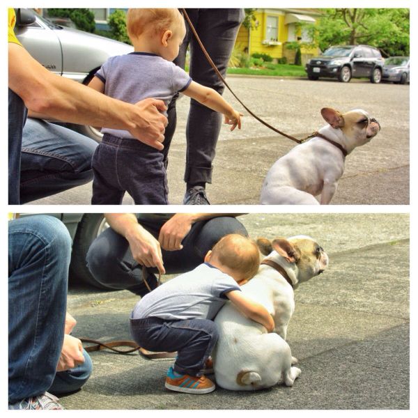 morning picdump 52 pics 7.html - 52 HD Photos | Premium Gallery 2014