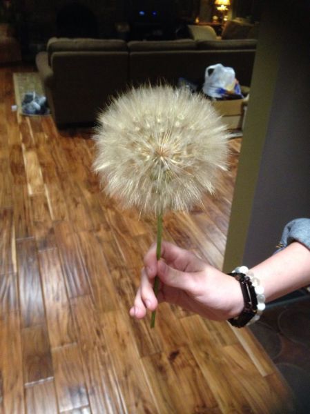 morning picdump 52 pics 7.html - 52 HD Photos | Premium Gallery 2014