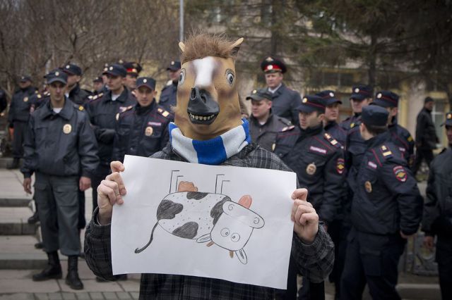 Morning Picdump
