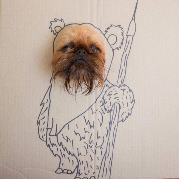 Morning Picdump