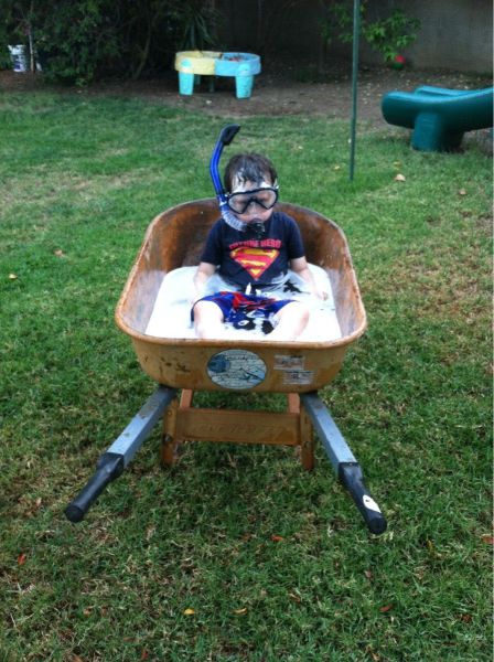 Morning Picdump