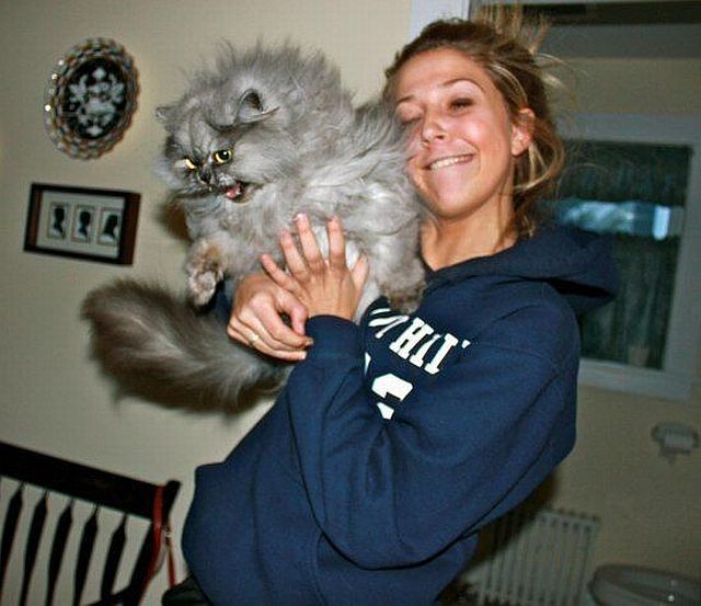 morning picdump 59 pics 2.html - 59 HD Photos | Premium Gallery 2014