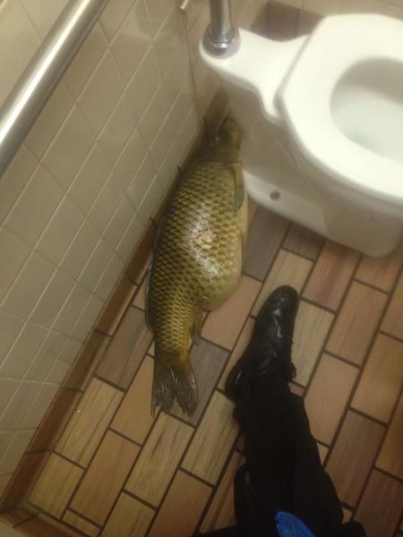morning picdump 59 pics 2.html - 59 HD Photos | Premium Gallery 2014