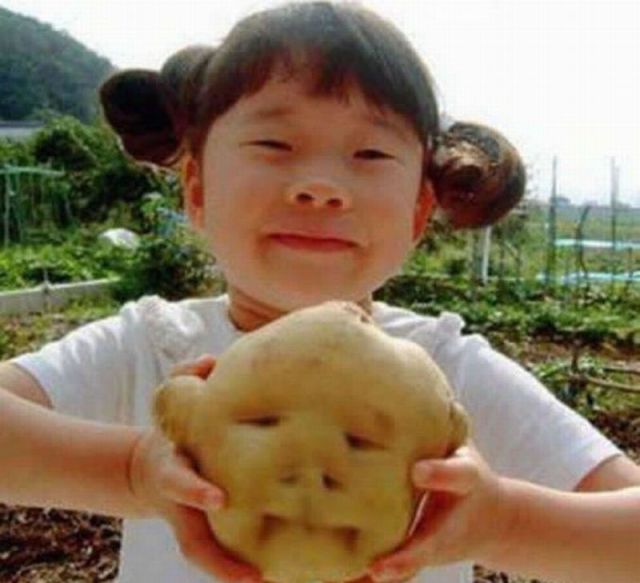 Morning Picdump
