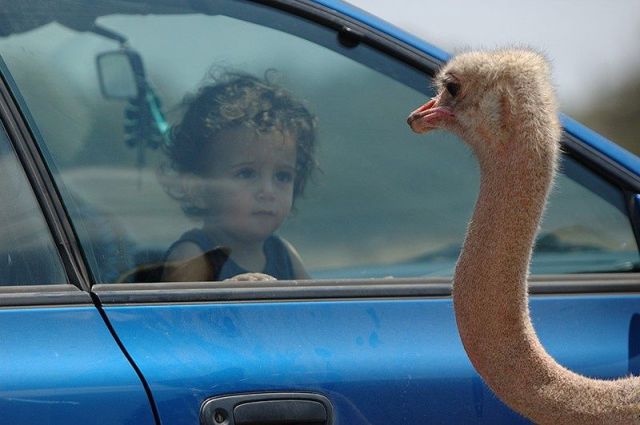 morning picdump 57 pics 3.html - 57 HD Photos | Premium Gallery 2014