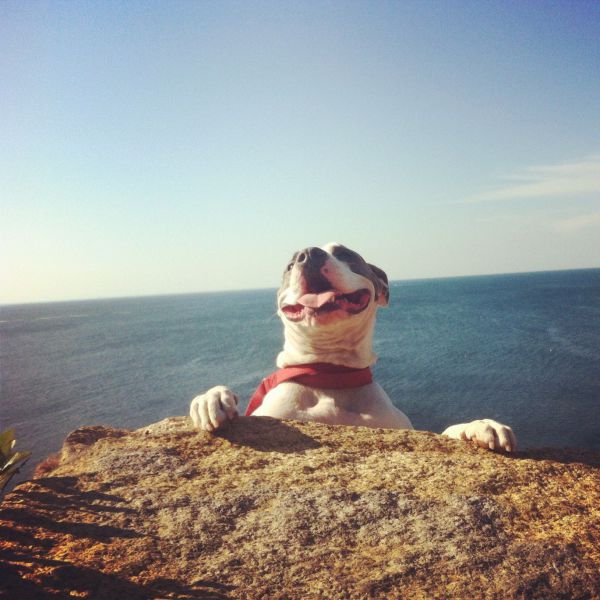morning picdump 57 pics 3.html - 57 HD Photos | Premium Gallery 2014