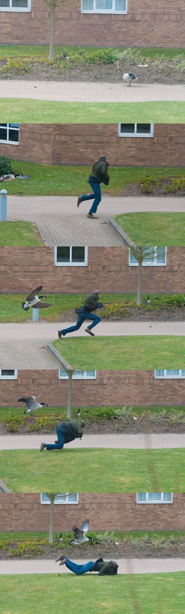 Morning Picdump