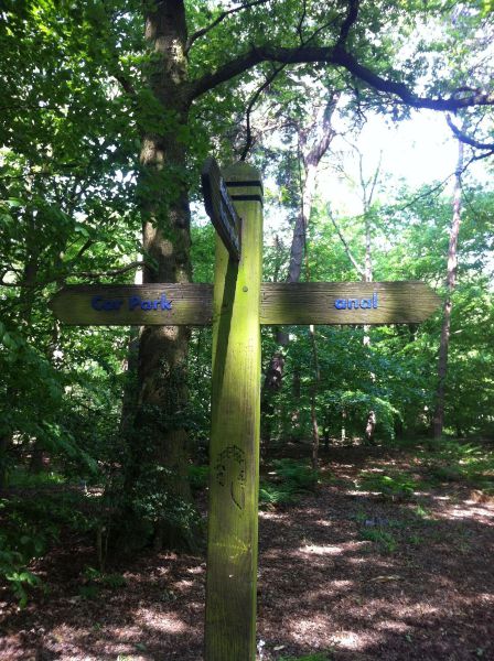 morning picdump 60 pics 57.html - 60 HD Photos | Premium Gallery 2014