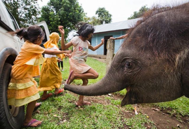 morning picdump 60 pics 57.html - 60 HD Photos | Premium Gallery 2014