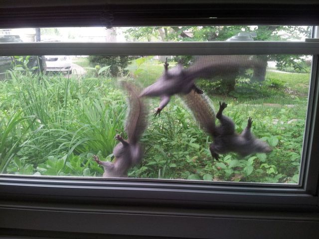 morning picdump 60 pics 57.html - 60 HD Photos | Premium Gallery 2014