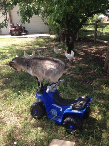 morning picdump 60 pics 57.html - 60 HD Photos | Premium Gallery 2014